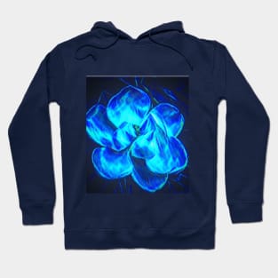 Electric Hoodie